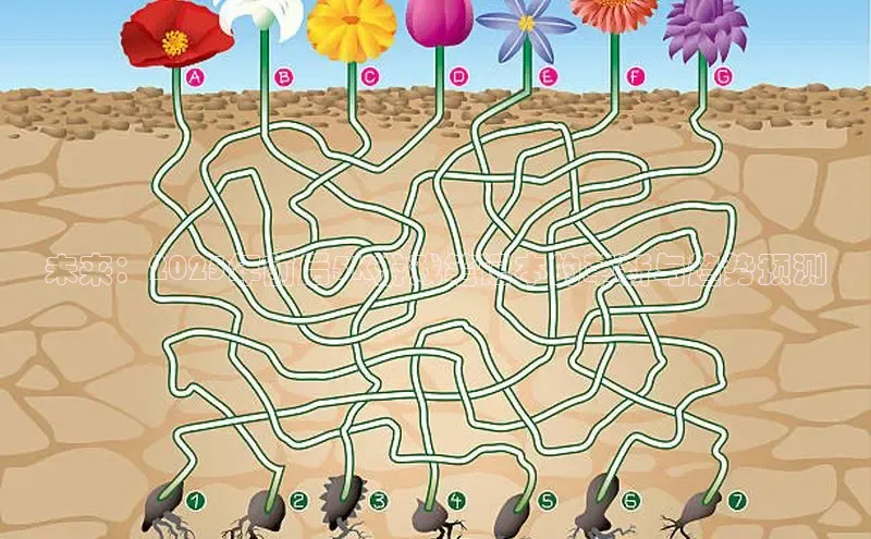 Mksport体育app官网入口