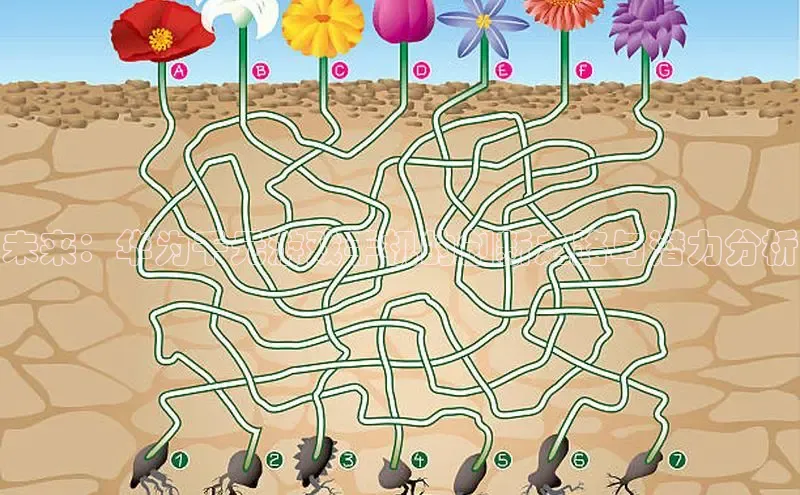 MK体育在线登录入口